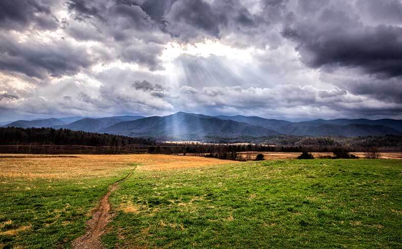 image of field at Cades Cove, Great Smoky Mountains National Park