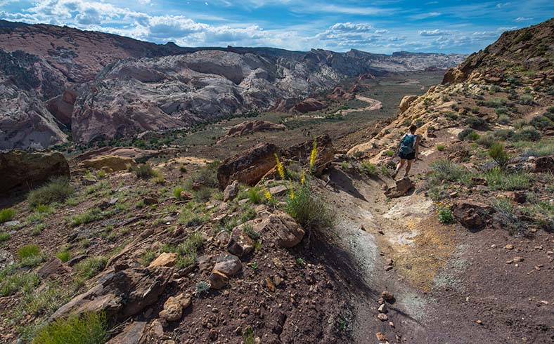 hiker in Capitol Reef National Park, Utah