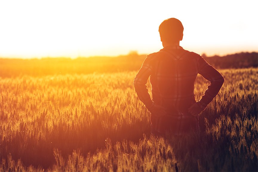 image of farmer standing in field