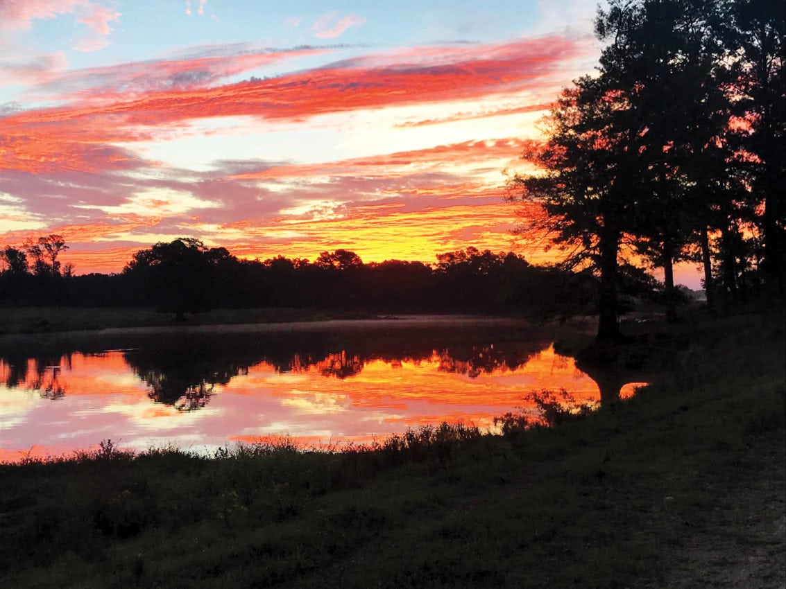 image of Big Black River in Warren County, Mississippi