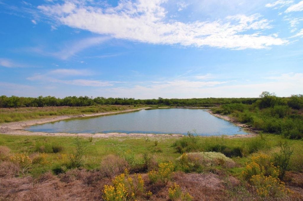 view of Arroyo Blanco Ranch in Zapata County, Texas