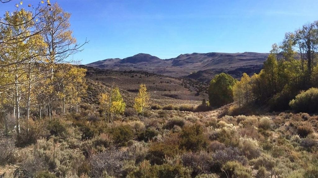 image of Flying M Ranch in Mono County, California