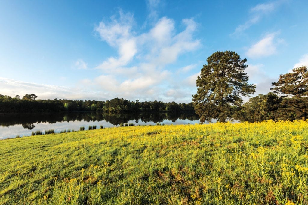 image of Champion Ranch, for sale in Leon County, Texas, by Icon Global