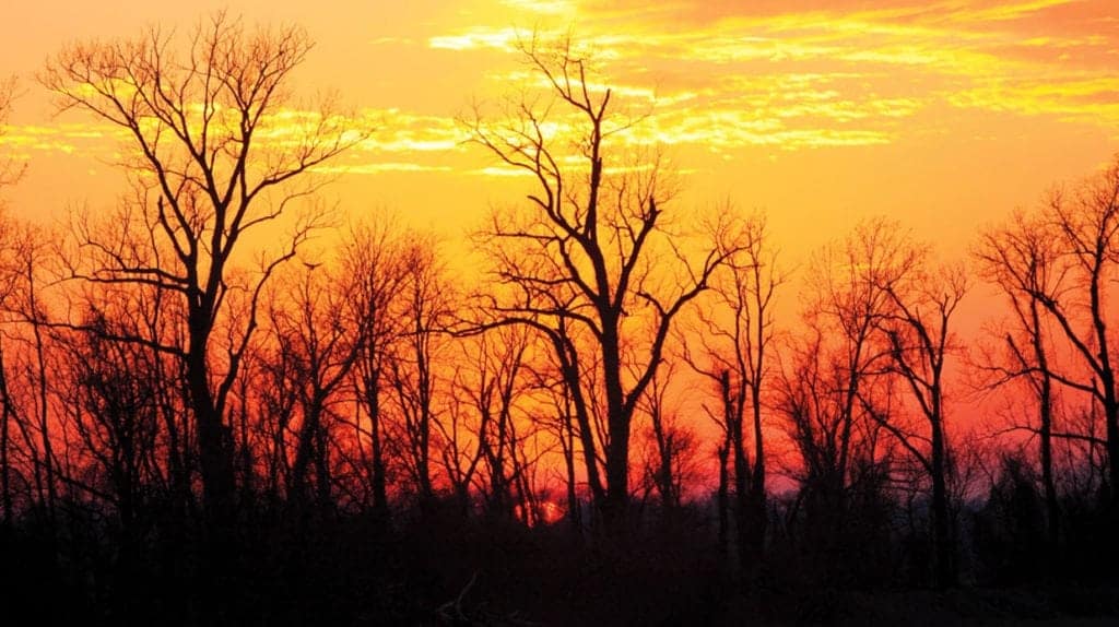 Photograph of sunset taken by Melody Golding