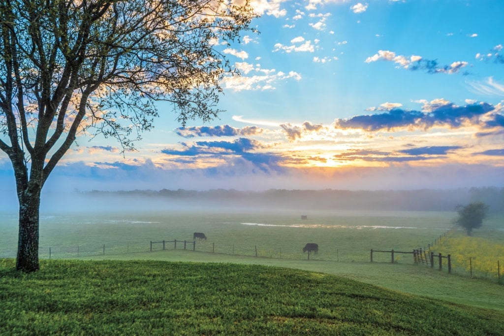 image of Champion Ranch, for sale in Leon County, Texas, by Icon Global