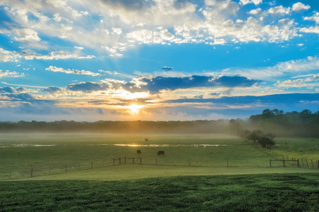 image of Champion Ranch, for sale in Leon County, Texas, by Icon Global