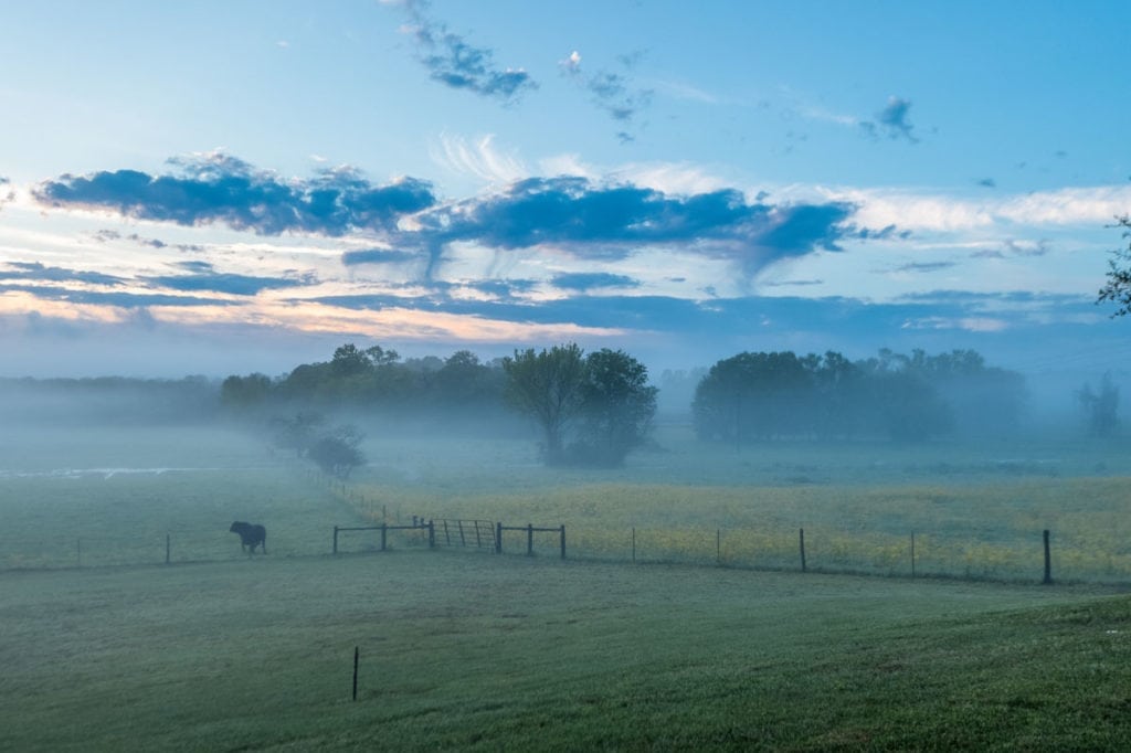 image of Champion Ranch, for sale in Leon County, Texas, by Icon Global