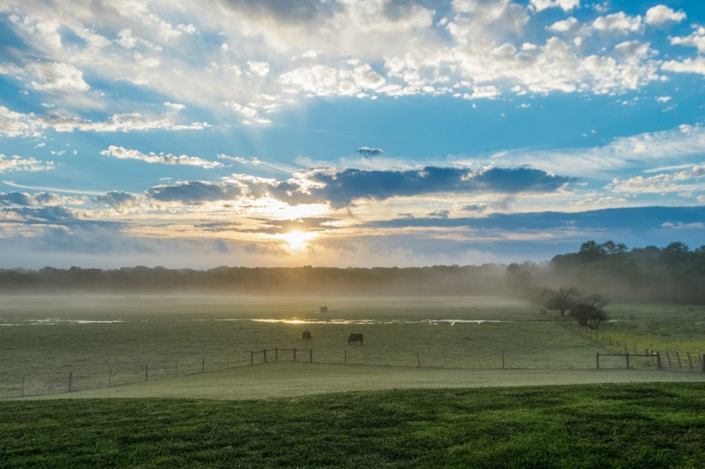 image of Champion Ranch, for sale in Leon County, Texas, by Icon Global