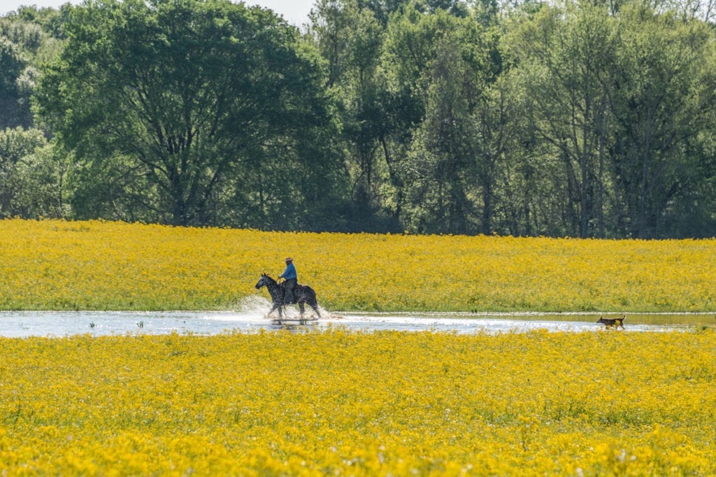 image of Champion Ranch, for sale in Leon County, Texas, by Icon Global