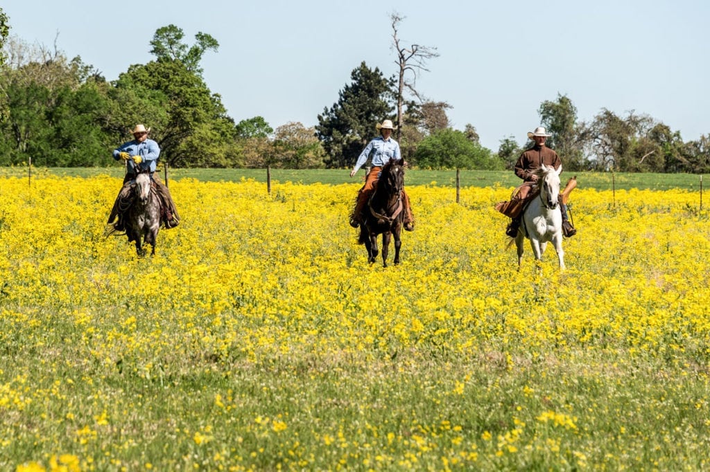 image of Champion Ranch, for sale in Leon County, Texas, by Icon Global