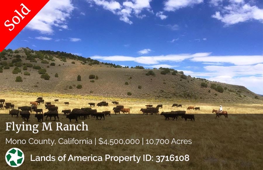 image of Flying M Ranch, sold in California