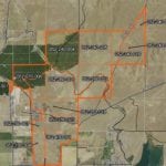 almond farm in Merced County, California