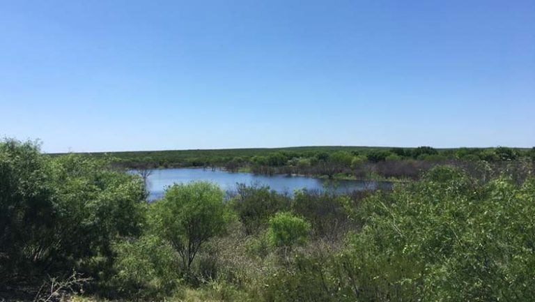 image of hunting ranch in Zavala County, Texas