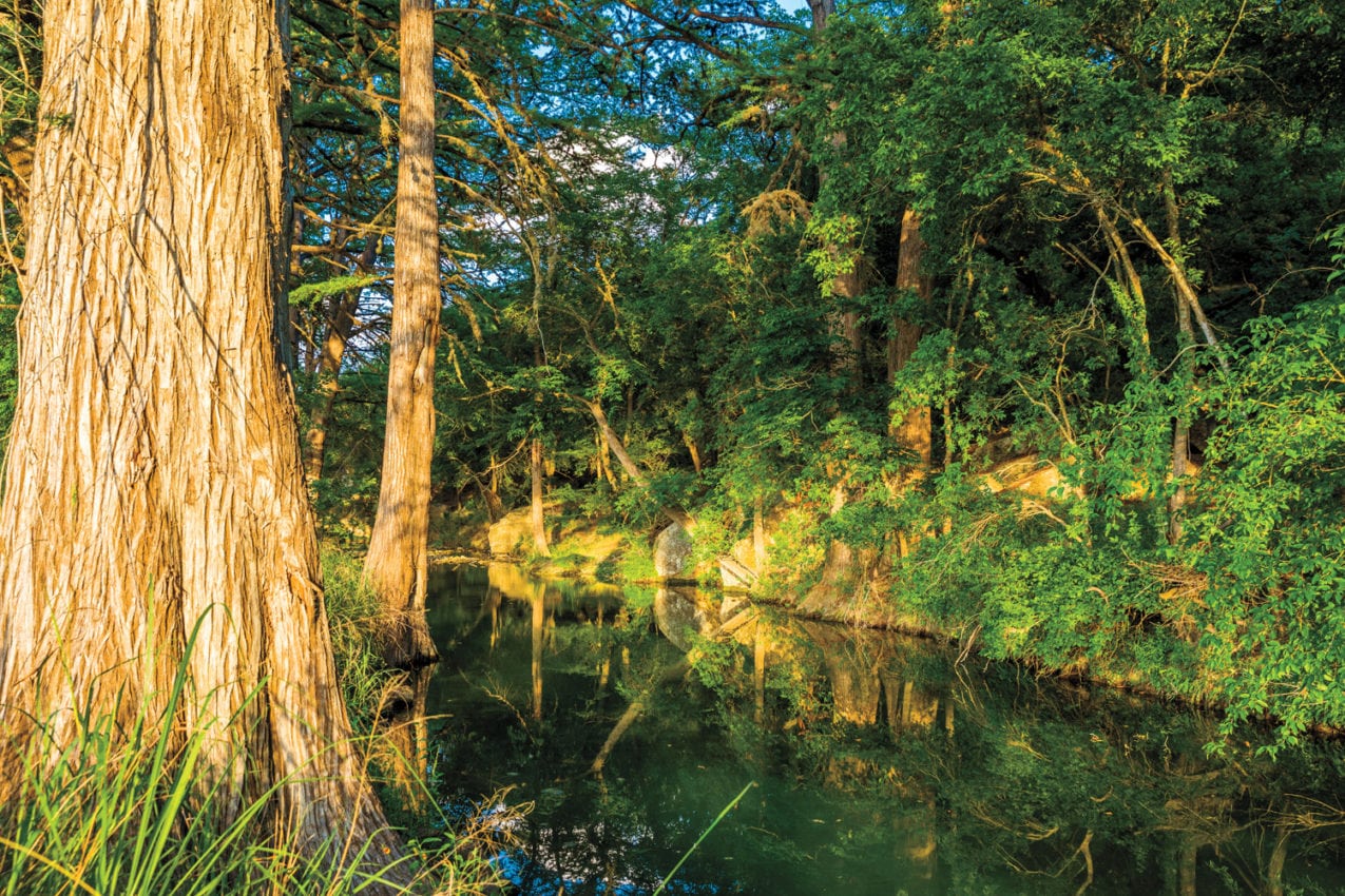 View of Sussex Farm in Texas Hill Country