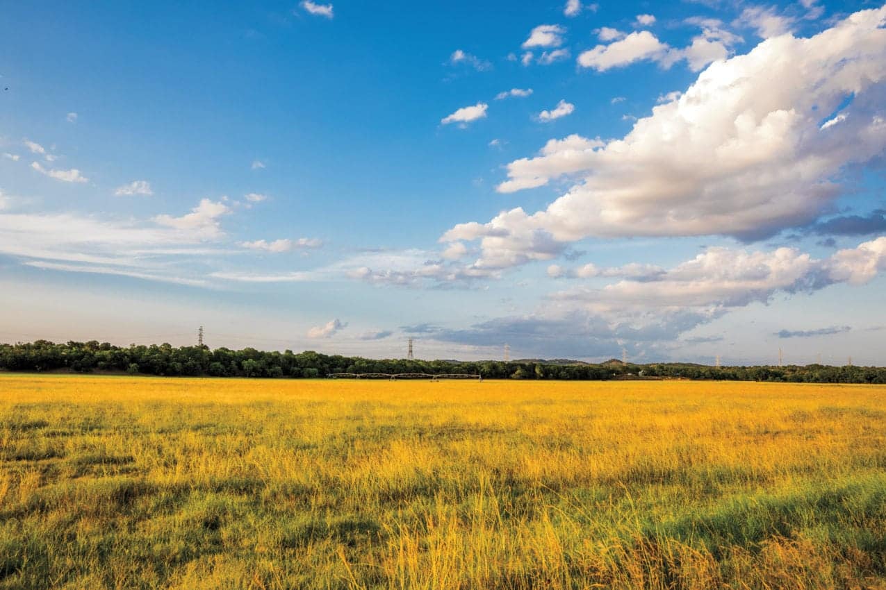 View of Sussex Farm in Texas Hill Country