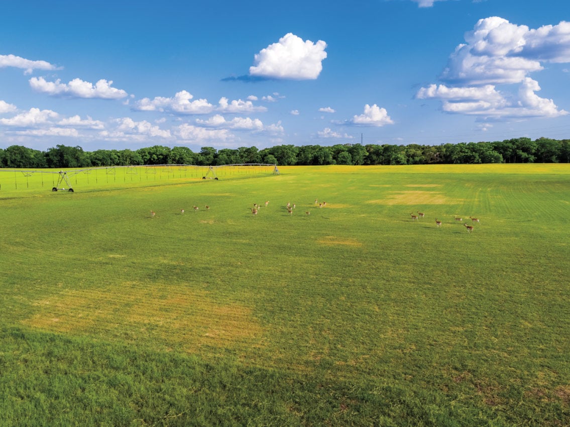 View of Sussex Farm in Texas Hill Country