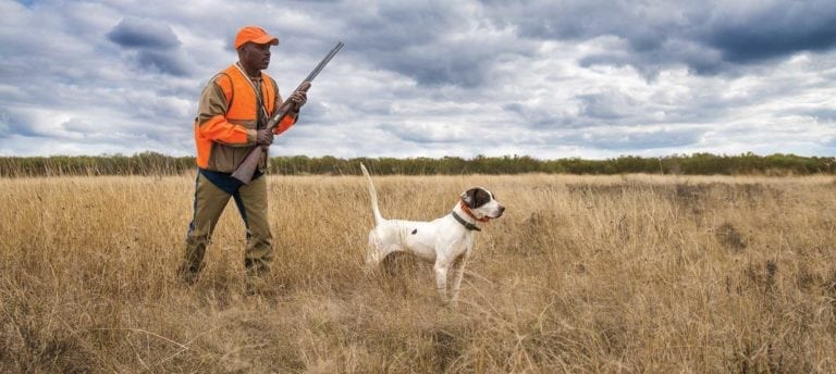 image of Leon McNeil hunting quail with hunting dog