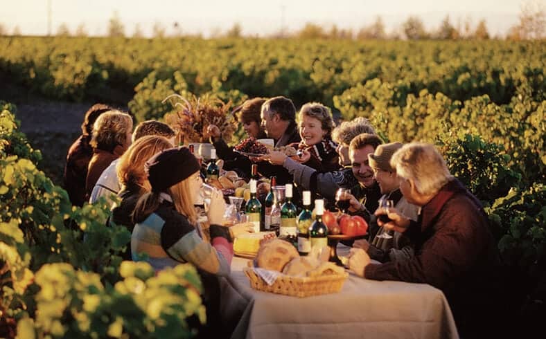 Vineyard in eastern Quebec