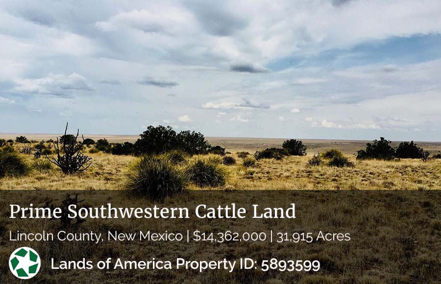 image of ranch for sale in New Mexico