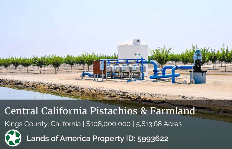 image of pistachio farm for sale in California