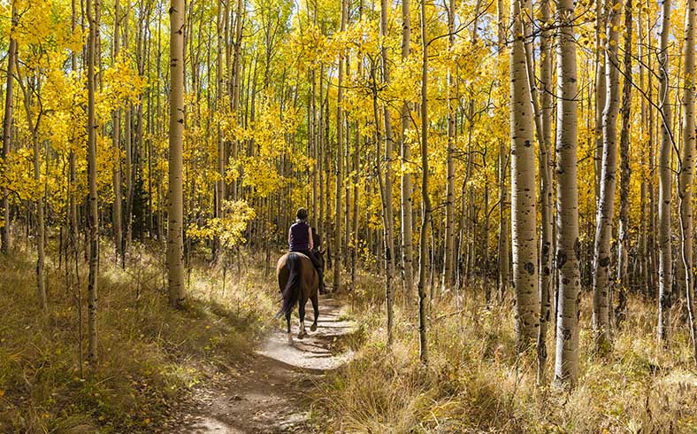 Best fall adventures: Colorado horseback riding