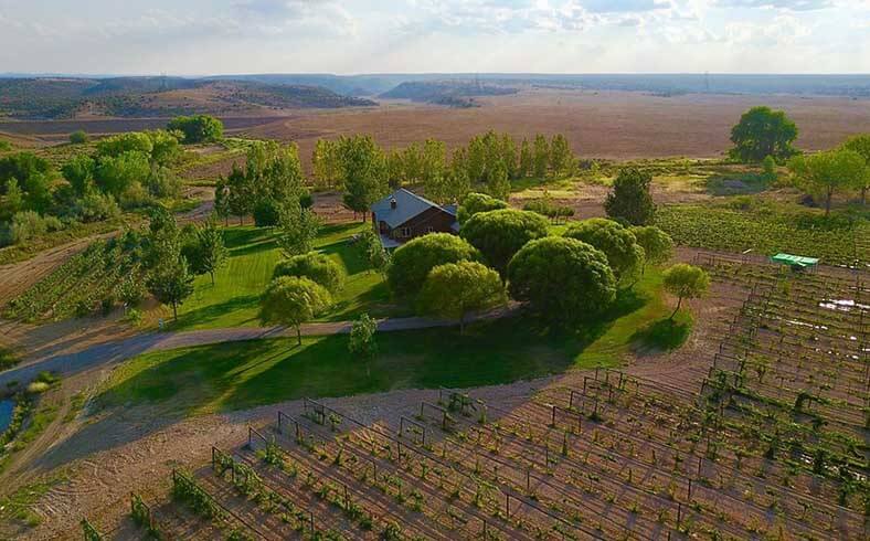 Garrett Estate Cellars vineyard