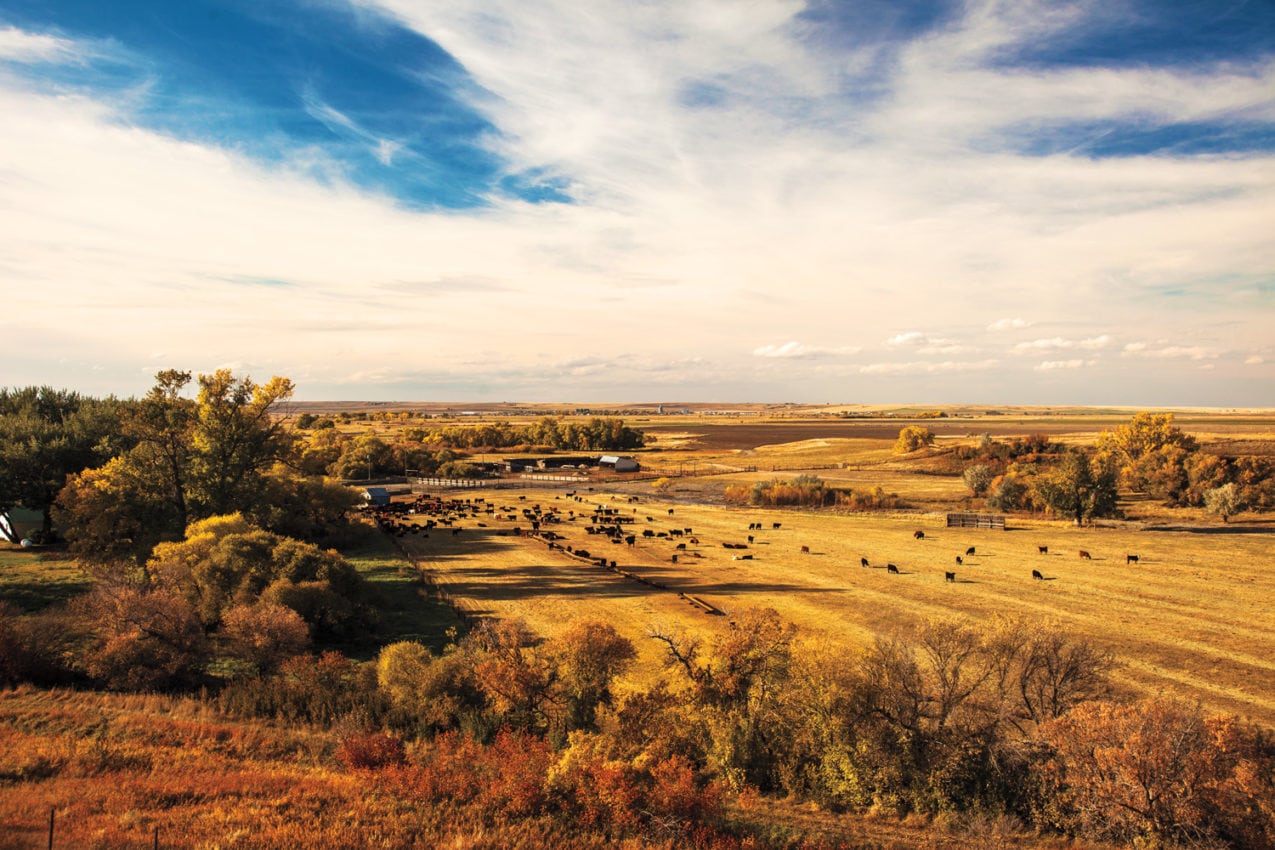 image of IX Ranch in Chouteau County, Montana