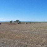 Nelson Farm, South Dakota, Hewitt Land Company sale