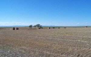 Nelson Farm, South Dakota, Hewitt Land Company sale