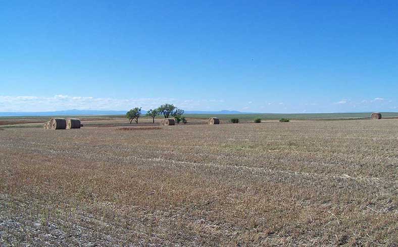 Nelson Farm, South Dakota, Hewitt Land Company sale