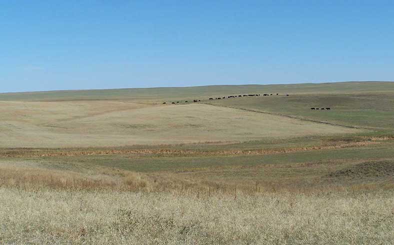 Nelson Farm, South Dakota, Hewitt Land Company sale