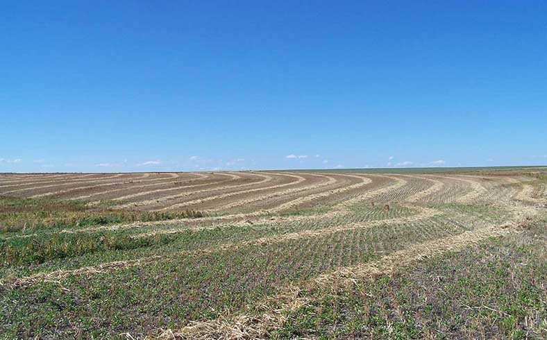 Nelson Farm, South Dakota, Hewitt Land Company sale