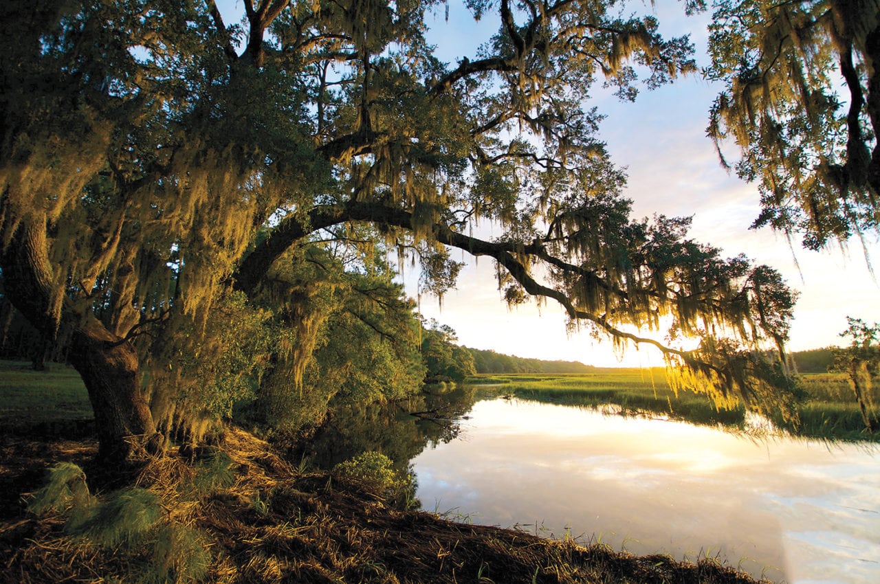 image of Bindon Plantation in Beaufort County, South Carolina