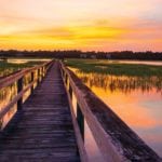 South Carolina Lowcountry landscape