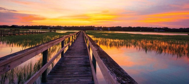 South Carolina Lowcountry landscape