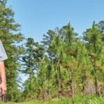 image of American Forest Management forester in South Carolina