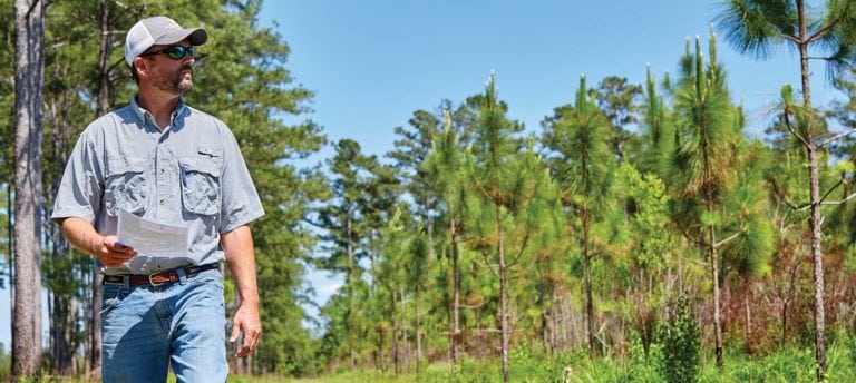 image of American Forest Management forester in South Carolina