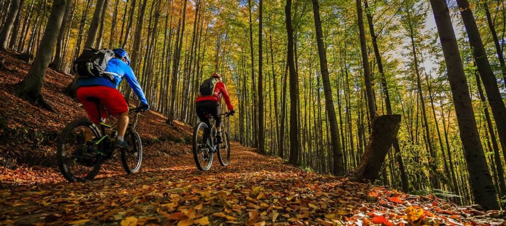 image of mountain bikers in fall forest