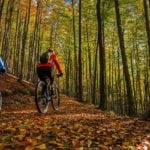 image of mountain bikers in fall forest