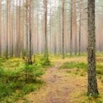 land investment advice