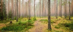 land investment advice