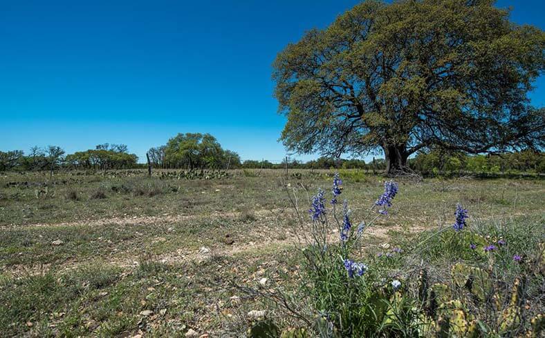 Rocking S Ranch sale, Texas Ranch Sales