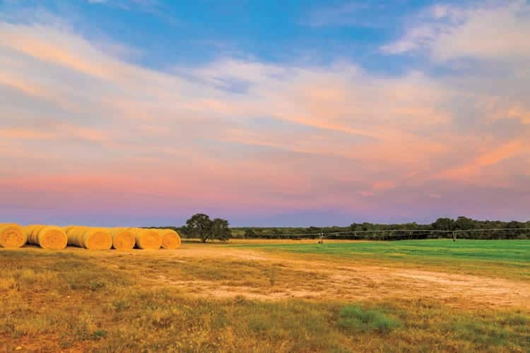 Apache Creek Ranch, for sale in Medina County, Texas