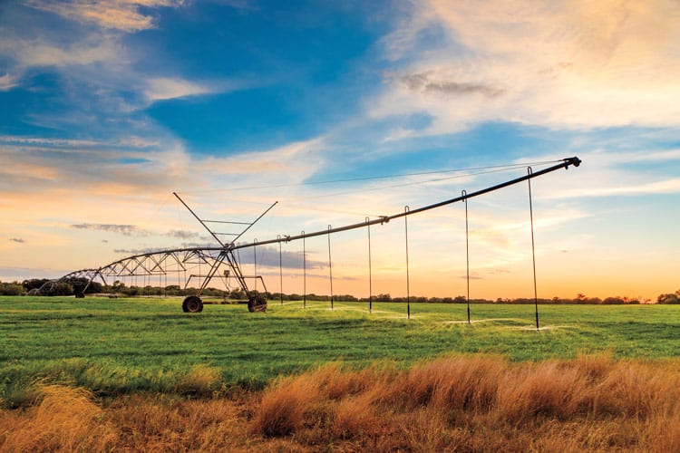 Apache Creek Ranch, for sale in Medina County, Texas