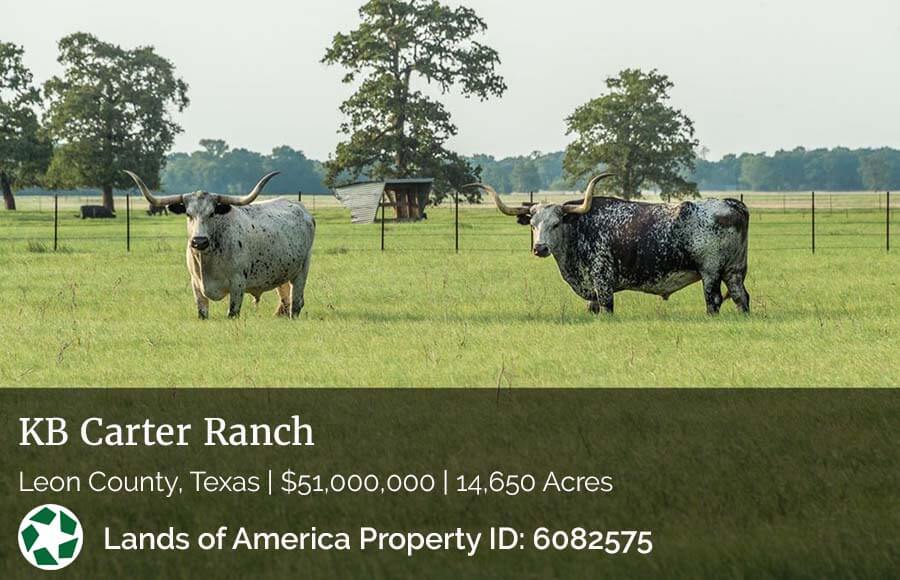 KB Carter Ranch for sale in Leon County, Texas