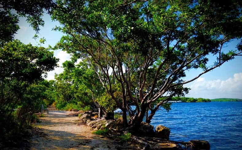 Off-the-beaten-track national parks: Biscayne National Park, Florida