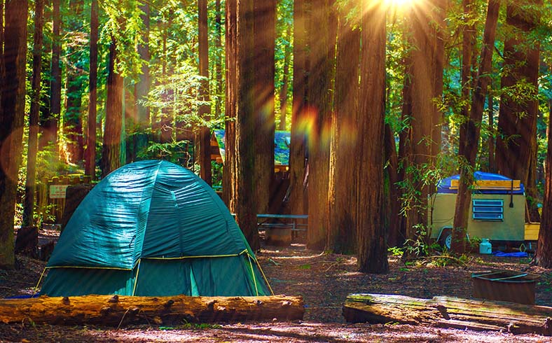 Off-the-beaten-track national parks: Redwood National Park, California