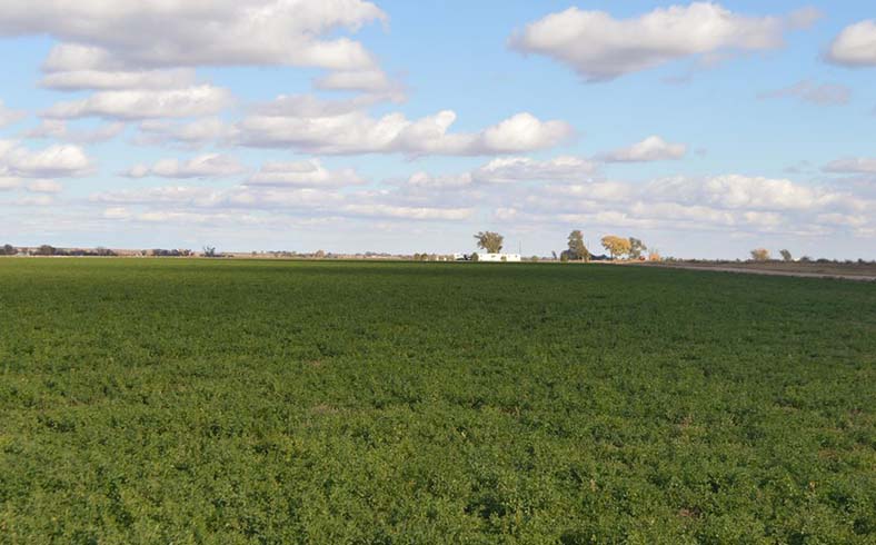 Farm in Bent County, Colorado