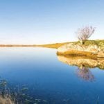 Sandow Lake Ranch, Texas