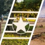 Land for sale collage